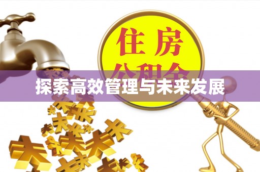 西沙探索高效管理与未来发展