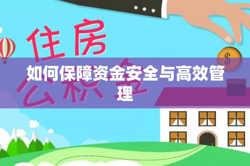西沙如何保障资金安全与高效管理
