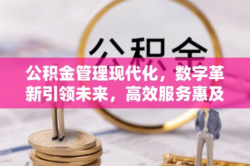 西沙公积金管理现代化，数字革新引领未来，高效服务惠及民生