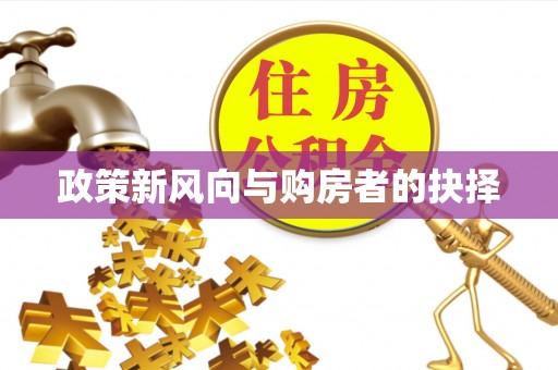 西沙政策新风向与购房者的抉择