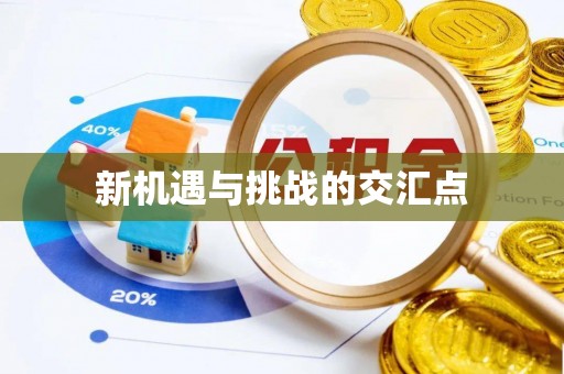 西沙新机遇与挑战的交汇点