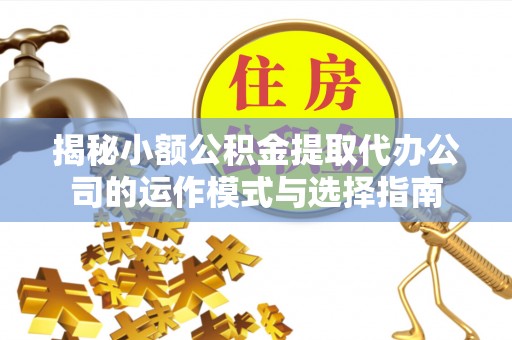 西沙揭秘小额公积金提取代办公司的运作模式与选择指南