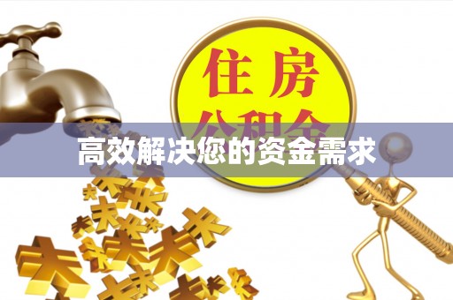 西沙高效解决您的资金需求