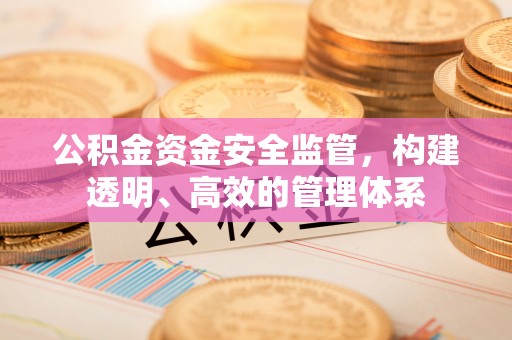 西沙公积金资金安全监管，构建透明、高效的管理体系