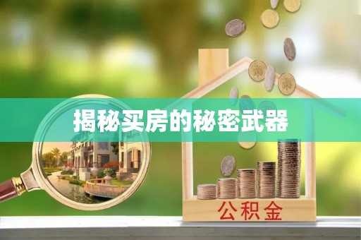 西沙揭秘买房的秘密武器