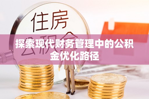 西沙探索现代财务管理中的公积金优化路径