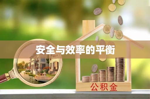 西沙安全与效率的平衡