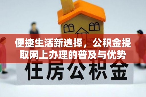 西沙便捷生活新选择，公积金提取网上办理的普及与优势