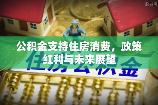 西沙公积金支持住房消费，政策红利与未来展望