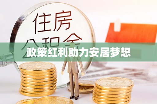 西沙政策红利助力安居梦想