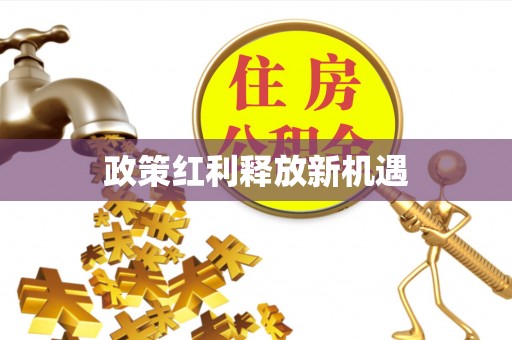 西沙政策红利释放新机遇